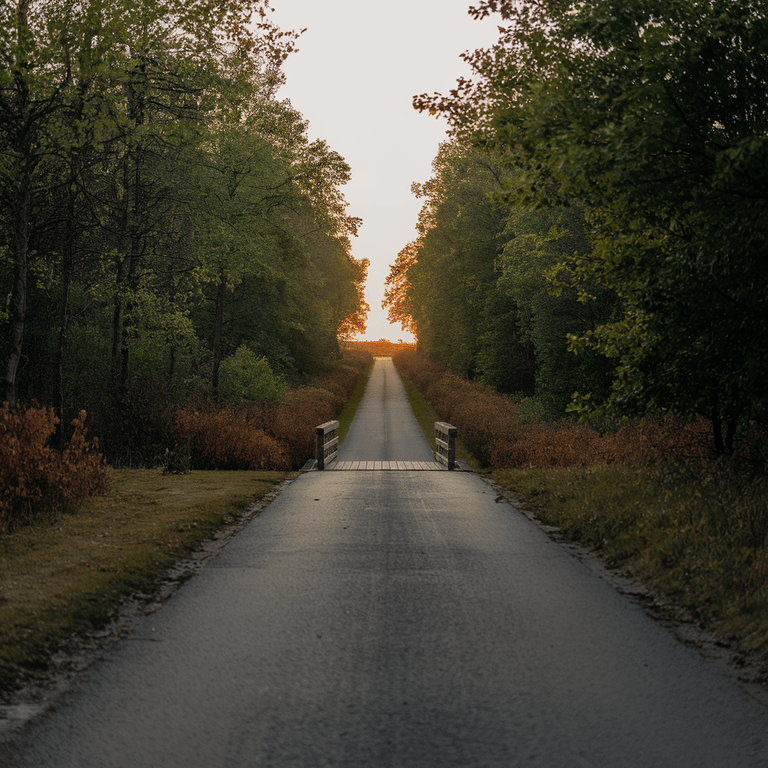 A pathway leading toward a bright horizon, symbolizing the future steps in SEO attribution modeling.